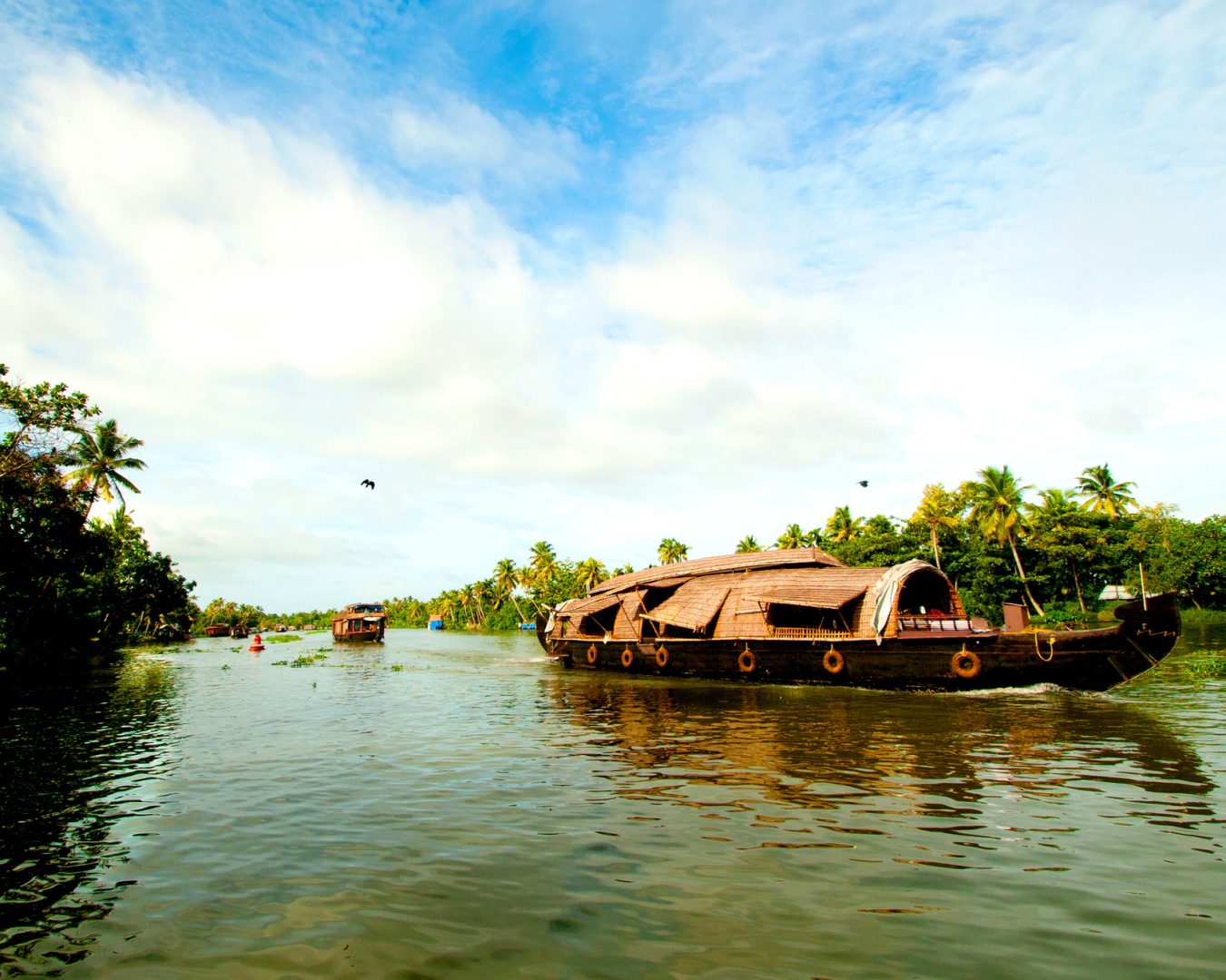 Houseboat on Kerala backwaters, in Alleppey, Kerala, India